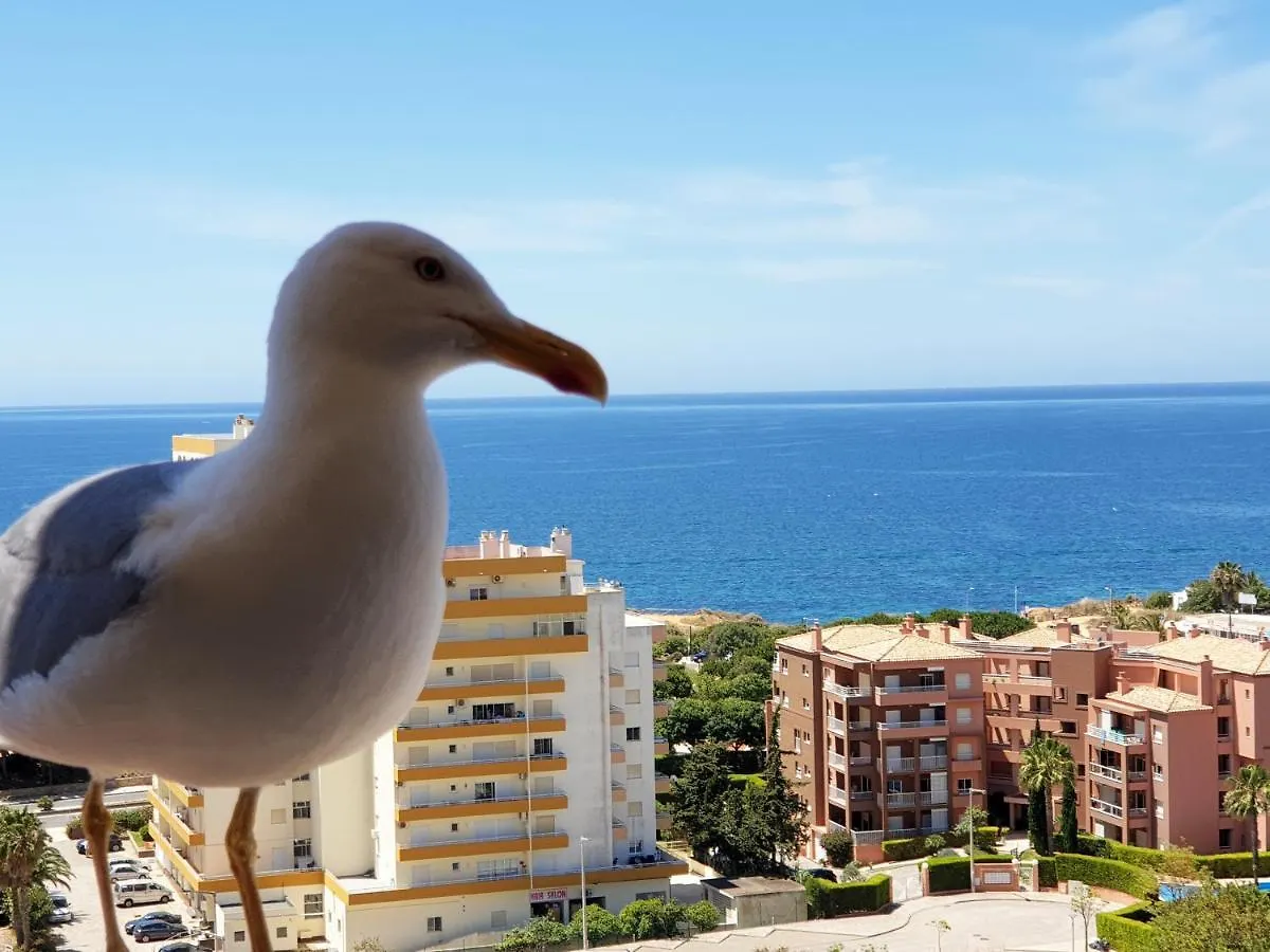 1501 - Clube Praia Mar Apartment Portimao